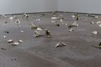 Cindy Huang contemporary artist
