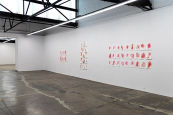 Contemporary art exhibition Alicia Frankovich Bio Techno Imaginations at 1301SW Melbourne Australia