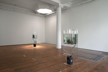 Contemporary art exhibition Richard Frater Indifference at Lett Thomas Karangahape Road New Zealand