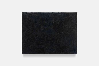 Arora contemporary artist