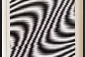 Bridget Riley