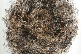 Rohini Devasher contemporary artist