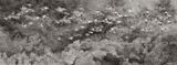 Flock of birds by Hans Op De Beeck contemporary artwork painting