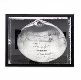 D63.30 Whakai-O-Tama Temuka Tuaki Rapaki Mactra Ovata Grey 1B43 by Fiona Pardington contemporary artwork photography