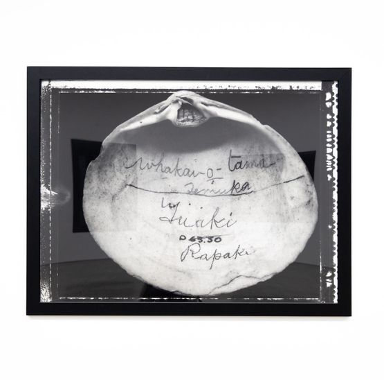 D63.30 Whakai-O-Tama Temuka Tuaki Rapaki Mactra Ovata Grey 1B43 by Fiona Pardington contemporary artwork Photography