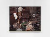 Capsule by Deana Lawson contemporary artwork print