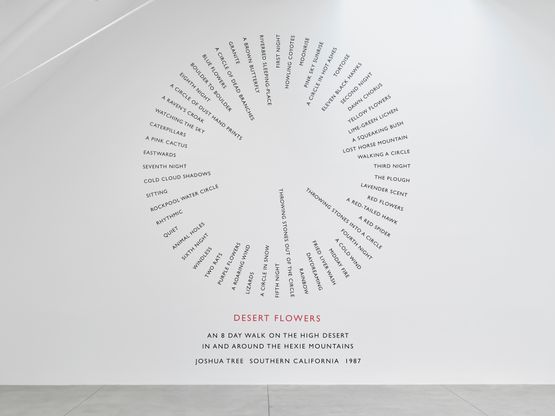 Desert Flowers by Richard Long contemporary artwork Installation