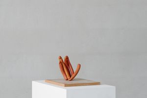 Erwin Wurm