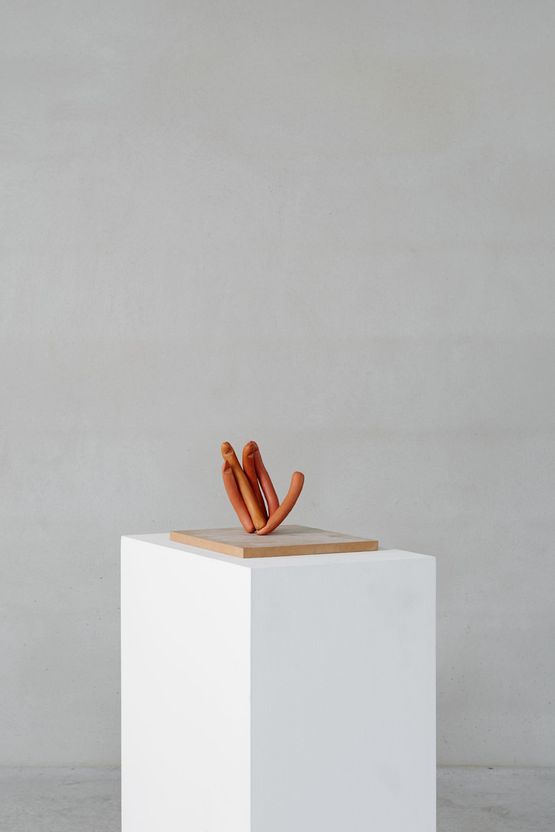 Hand Abstract Sculptures by Erwin Wurm contemporary artwork Sculpture