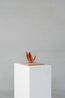 Hand Abstract Sculptures by Erwin Wurm contemporary artwork Sculpture