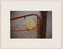 Noodles in the Fence by Gabriel Orozco contemporary artwork Photography