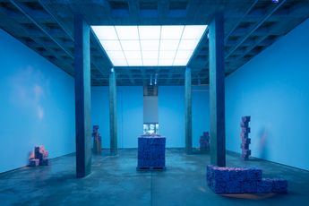 Contemporary art exhibition Superflex There Are Other Fish In The Sea at OMR Mexico City