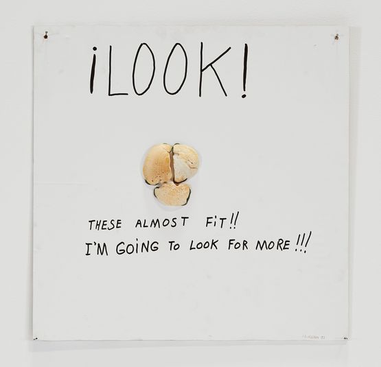 These Almost Fit by Jimmie Durham contemporary artwork Painting