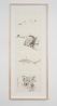 Mer de Corail C. melanopterus by Zheng Bo contemporary artwork Works on Paper