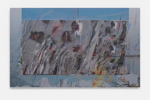 Petra Cortright
