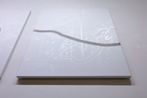 Yamaguchi Akira contemporary artist