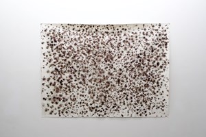 Sun Choi