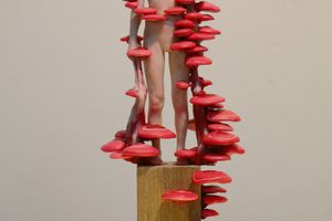 Dongwook Lee
