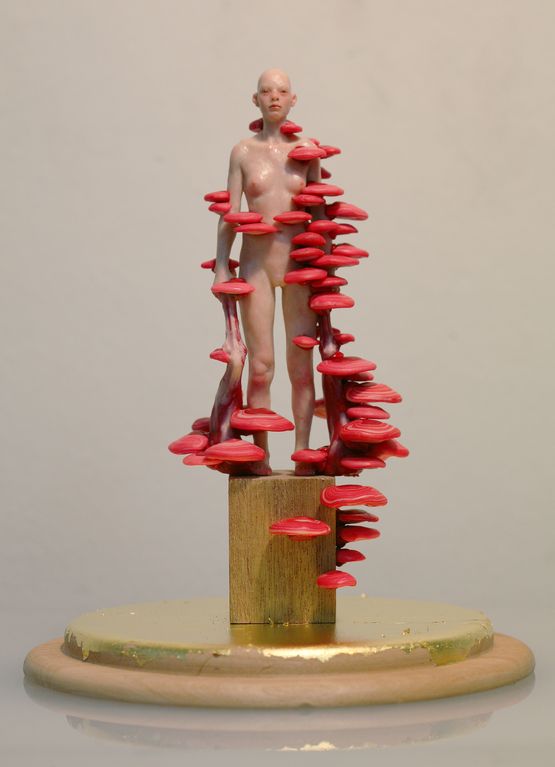 Red Mushroom by Dongwook Lee contemporary artwork Mixed Media