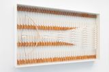 Diorama Arc by Prune Nourry contemporary artwork sculpture