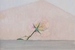Charlotte Verity contemporary artist