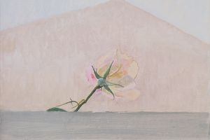 Charlotte Verity