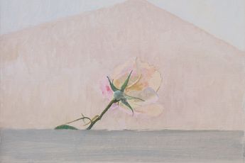 Charlotte Verity contemporary artist