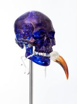 Skull with Von der Deckens Hornbill by Jan Fabre contemporary artwork mixed media sculpture