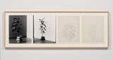 Shadows X Set 3 by Charles Gaines contemporary artwork works on paper