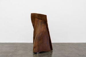 Marcelo Silveira