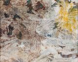 Field painting 6 - Mallee beetles by John Wolseley contemporary artwork painting