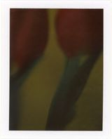 Emotion Training 3 by Rala Choi contemporary artwork photography print