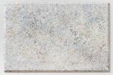 Team by Sam Gilliam contemporary artwork painting
