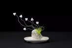 Nina Katchadourian contemporary artist