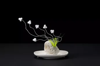 Nina Katchadourian contemporary artist