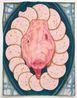 Lunch I by Priscilla Rose Howe contemporary artwork Painting