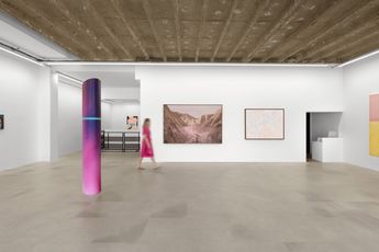Contemporary art exhibition Group Show PANEL Rose at Dumonteil Paris France