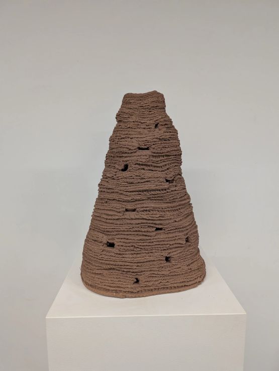Untitled from the series Cupinzeiros by Lidia Lisboa contemporary artwork Sculpture