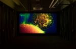Anywhen by Philippe Parreno contemporary artwork Moving Image