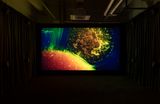 Anywhen by Philippe Parreno contemporary artwork moving image