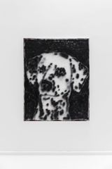 Dalmatian portrait by Ricardo Passaporte contemporary artwork painting