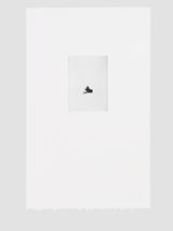 Aviol III by Mirko Baselgia contemporary artwork photography