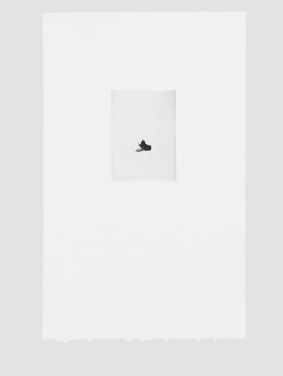 Aviol III by Mirko Baselgia contemporary artwork Photography
