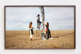 Daniela Edburg contemporary artist
