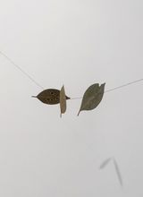 Hojas llovidas by Daniel Steegmann Mangrane contemporary artwork sculpture
