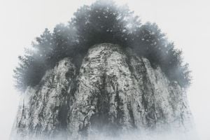 Group Exhibition