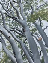 Autumn Pine Tree by Long Quan contemporary artwork painting