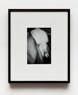 Untitled by Gabriel Branco contemporary artwork photography