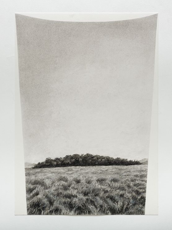 Horton plains 5 by Muhanned Cader contemporary artwork Works on Paper