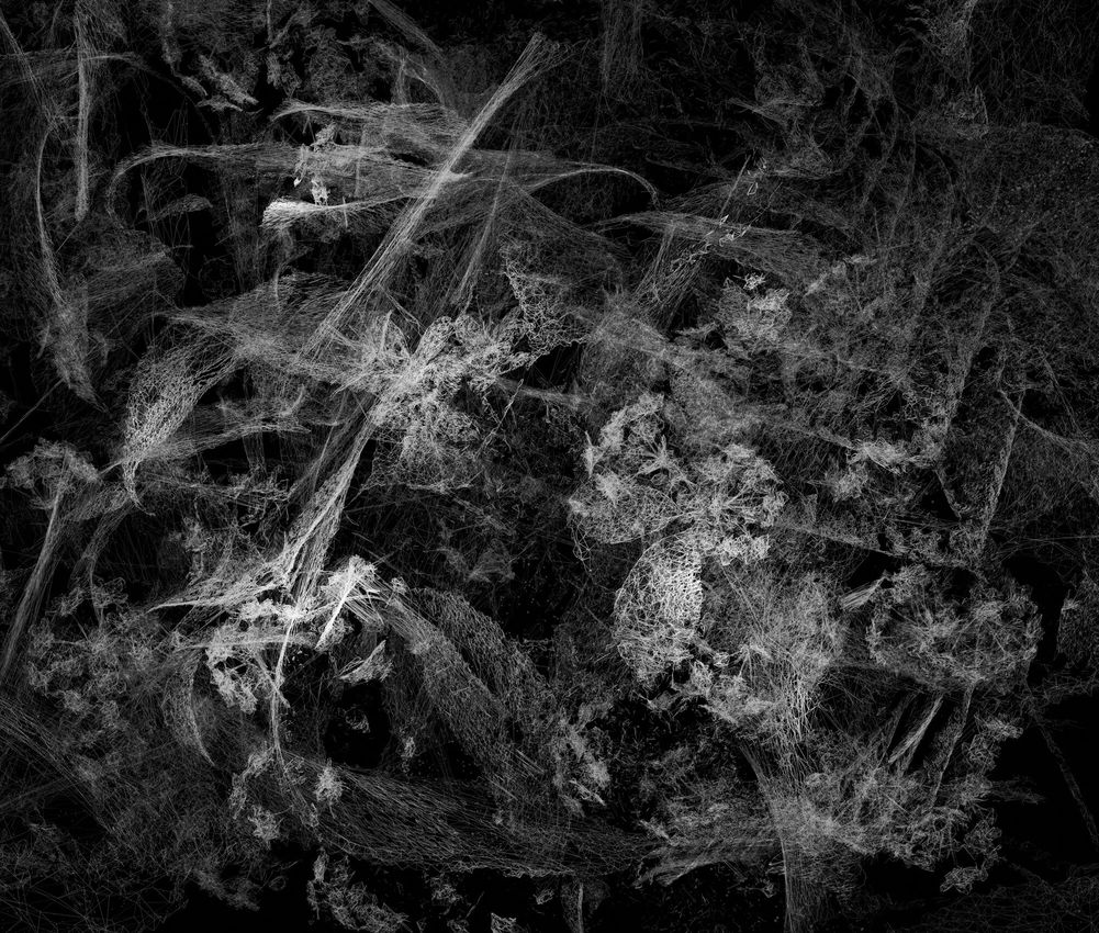 Moon Kyungwon & Jeon Joonho, 'News From Nowhere : Laboratory Of